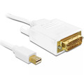 Delock Display Port-Kabel Mini Displayport Stecker zu DVI-Stecker 2m Weiß