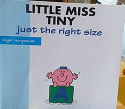 Mr. Men Little Miss kleines Buch Roger Hargreaves