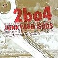 Two Banks of Four [2bo4] - Junkyard Gods (Live-Aufnahme, CD 2008)