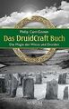 Das DruidCraft Buch: Die Magie der Wicca und Druide... | Buch | Zustand sehr gut