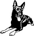 DEUTSCHER SCHÄFERHUND Aufkleber - Schäferhund Autoaufkleber -sticker- Kontur #43