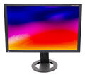Eizo CG243WFS-BK 24 Zoll LCD Monitor DVI DP Kontrast 850:1 5ms Reaktionszeit