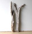 Treibholz Schwemmholz Driftwood 2 Hölzer Terrarium Dekoration Material 52-59 cm