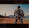 Pink Floyd Delicate Sound Of Thunder 2xLP Album Gat Vinyl Schallplatte 046