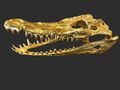 Gold Krokodil Schädel Gussmetall Figur Schädel Gothic Kuriosität Alligator poliert