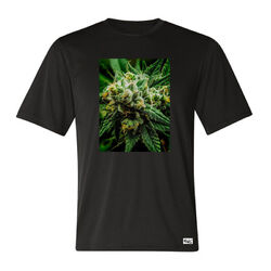 EAKS Herren T-Shirt "Hemp Plant" Hanf Cannabis Gras Weed Ganja Pot Kiffershirt