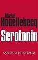 Serotonin Houellebecq, Michel  Buch