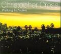 Christopher Cross - Walking in Avalon +2