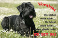 Riesenschnauzer SCHNAUZER - A4 Metall Warnschild Hundeschild SCHILD - SNZ 08 T2