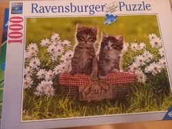 Ravensburger Puzzle 1.000 Teile Baby Katzen