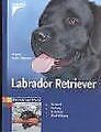 Labrador Retriever. Auswahl, Haltung, Erziehung, Be... | Buch | Zustand sehr gut