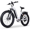 26 Zoll Damen E-Bike 840WH 1000W Elektrofahrrad Mountainbike 25KM/H E-City Bike