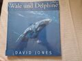 Wale und Delphine von David Jones