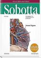 Sobotta, Atlas der Anatomie  Band 2: Innere Organe ... | Buch | Zustand sehr gut