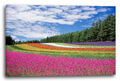 Lein-Wand-Bild: Blumenwiese mit vielen Farben wie ein Regenbogen (pink, gelb, ro