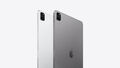 Apple iPad Pro 2 (2020) 11" 4G+WIFI 128GB 256GB 512GB 1T Space Grau Silber - WIE