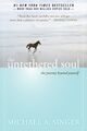 The Unaufhaltsam Soul: Journey Beyond Yourself Von Michael A.Singer (Englisch)