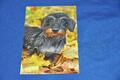 AK Postkarte Hund (3) Dackel