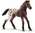 Appaloosa Fohlen - 13862