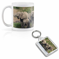 Becher & quadratischer Schlüsselring Set - Wild Elephant Herd #15570