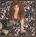 Cher-cher's greatest hits  1965-1992 CD