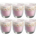 6 x Bolsius Duftgläser 80x70 mm Duftkerzen im Glas Kerzenglas rosa - Magnolie