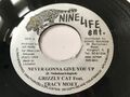 Grizzly Cat & Tracy Moet - Never Gonna Give You Up / Handy - JA Import 7""