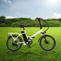20 Zoll E-bike Elektrofahrrad Klapprad Pedelec Citybike 36V 7.8AH 25km/h 250W DE
