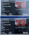 Ticket Bruce Springsteen Hannover 05.07.2024 Stehplatz Innenraum The Boss