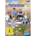 Die Pfefferkörner - Staffel 17 (DVD)
