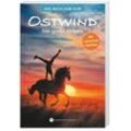 Der große Orkan / Ostwind Bd.6 - Lea Schmidbauer, Taschenbuch