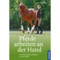 Pferde arbeiten an der Hand - Karin Heß-Müller, Gebunden