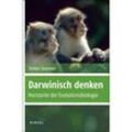 Darwinisch denken - Volker Sommer, Kartoniert (TB)