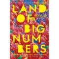 Land of Big Numbers - Te-Ping Chen, Taschenbuch