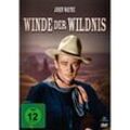 John Wayne: Winde der Wildnis (DVD)