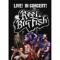 Live! In Concert! - Reel Big Fish. (DVD)