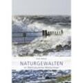 Naturgewalten im Weltnaturerbe Wattenmeer - Dirk Meier, Kartoniert (TB)