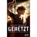 Gehetzt / Die Chronik des Eisernen Druiden Bd.1 - Kevin Hearne, Kartoniert (TB)