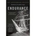 Endurance - Alfred Lansing, Kartoniert (TB)