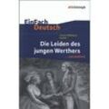 Johann Wolfgang von Goethe 'Die Leiden des jungen Werthers' - Johann Wolfgang von Goethe, Hendrik Madsen, Kartoniert (TB)