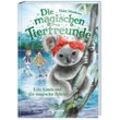 Kiki Koala und die magische Schule / Die magischen Tierfreunde Bd.17 - Daisy Meadows, Gebunden