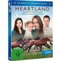 Heartland: Paradies für Pferde - Die komplette Staffel 13 (DVD)