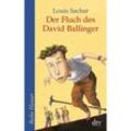 Der Fluch des David Ballinger - Louis Sachar, Taschenbuch