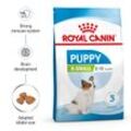 ROYAL CANIN X-SMALL Puppy Trockenfutter für Welpen sehr kleiner Hunderassen 1,5kg