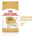 ROYAL CANIN Labrador Retriever Adult 5+ Trockenfutter für Hunde ab 5 Jahren 3kg