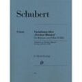 Variationen über 'Trockne Blumen' e-Moll op. post. 160 D 802, Flöte und Klavier - Franz Schubert - Variationen über "Trockne Blumen" e-moll op. post. 160 D 802, Kartoniert (TB)