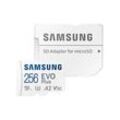 SAMSUNG Speicherkarte microSD EVO PLUS 256 GB