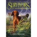 Survivors: The Broken Path - Erin Hunter, Kartoniert (TB)
