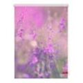 Lichtblick Rollo Klemmfix, ohne Bohren, blickdicht, Blumenwiese - Fuchsia Violett, 90 x 150 cm (B x
