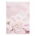 Lichtblick Rollo Klemmfix, ohne Bohren, blickdicht, Kirschblüten - Rosa Weiß, 100 cm x 150 cm (B x L
